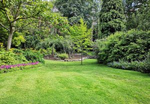 Optimiser l'expérience du jardin à Mennetou-sur-Cher